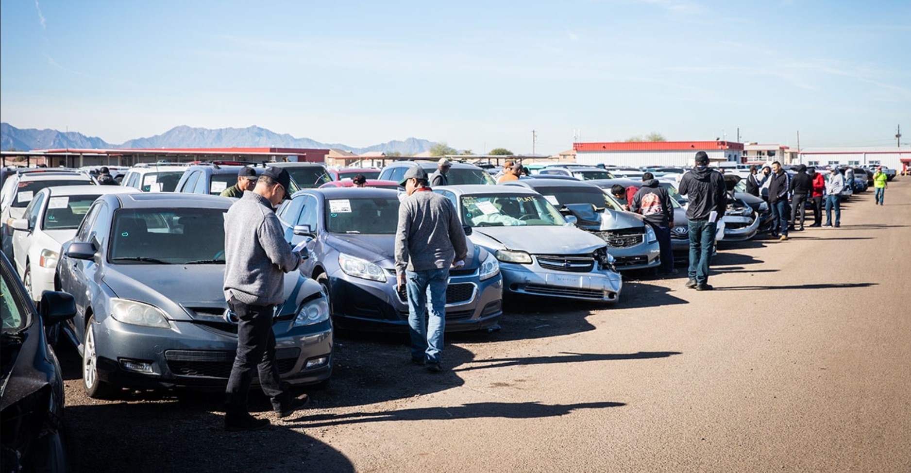How do insurance auto auctions work